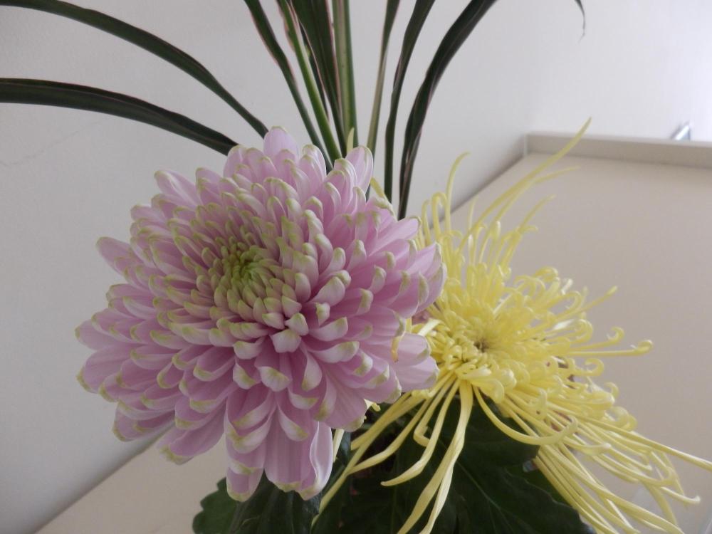 華道部の生け花3